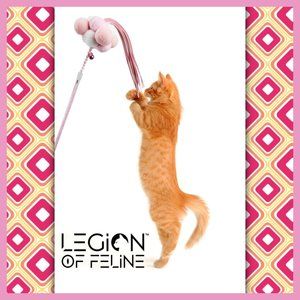 🐱Plenty of Pom Poms Ribboned Cat Toy - Pink 😻